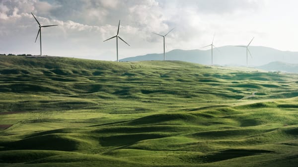How CFOs Can Capitalize on Sustainability in the ESG Era